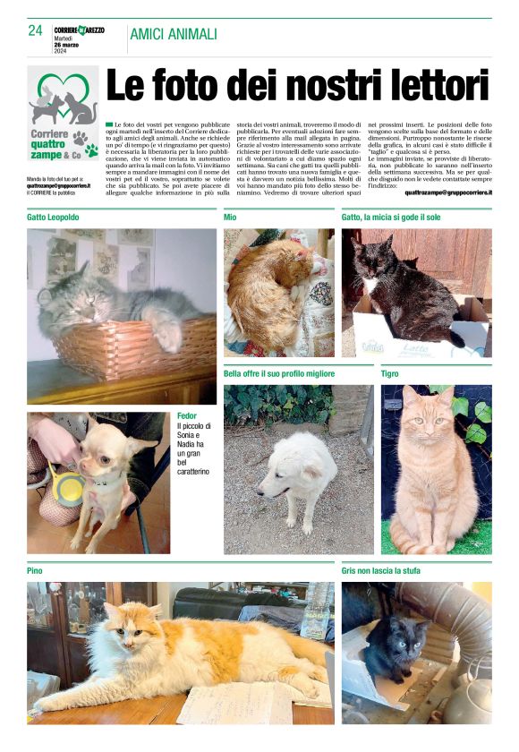 pag 24