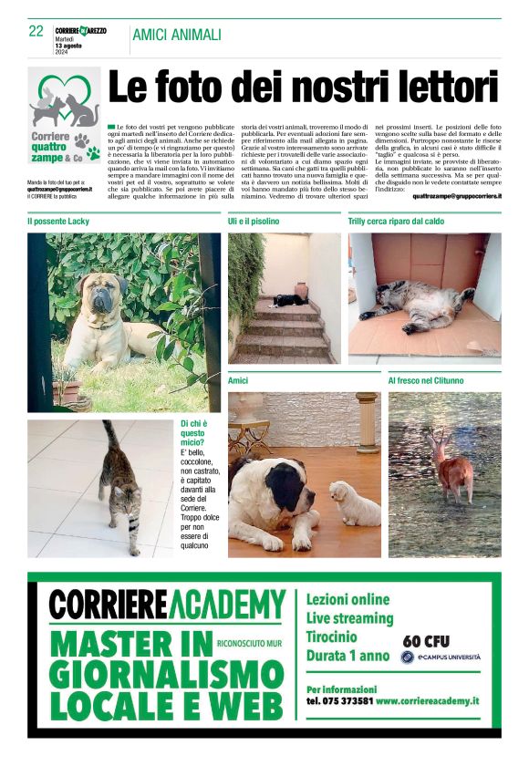 pag 22