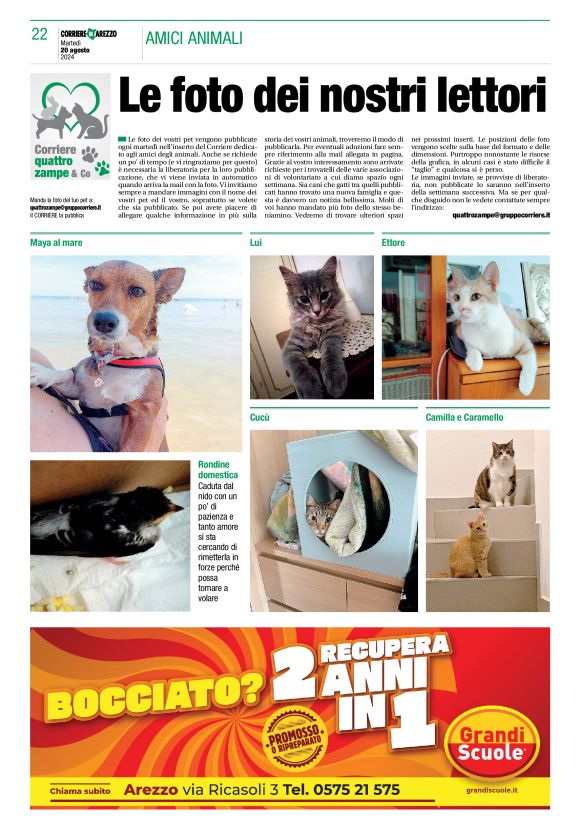 pag 22