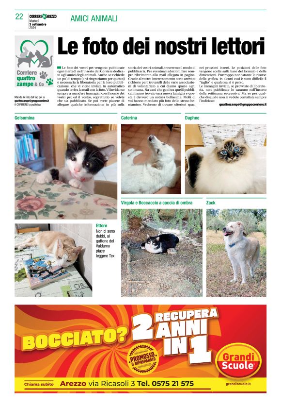 pag 22